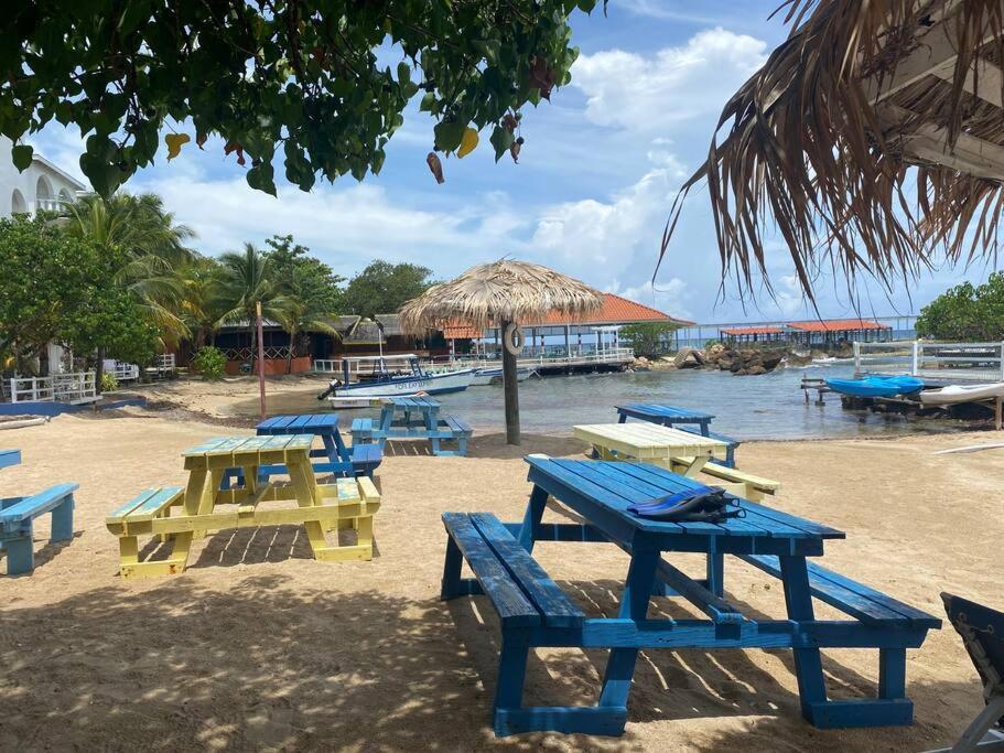 Lush Tropical Apartment Located In A 4-Star Resort Runaway Bay Exterior photo